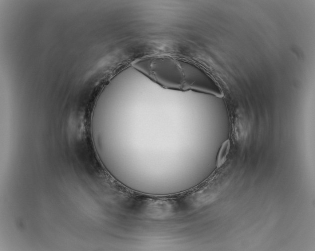 X0000112790520200909041414