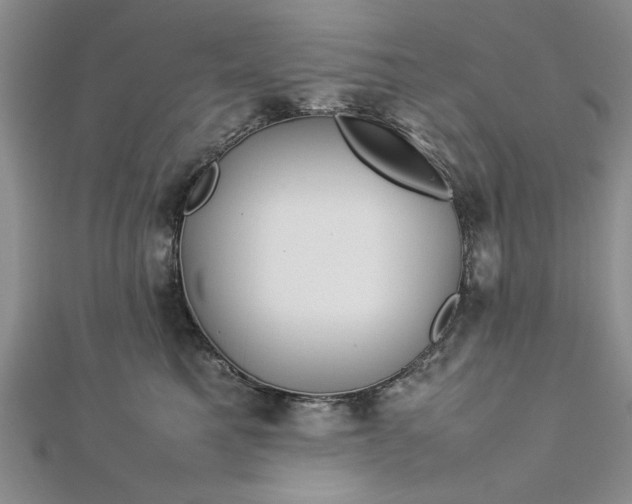 X0000112790521200909041414