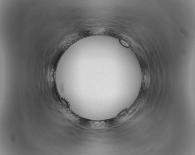 X0000112790525200909041414