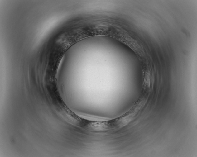 X0000112790526200909041414