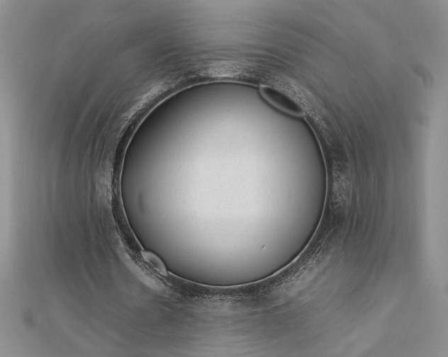 X0000112790530200909041414