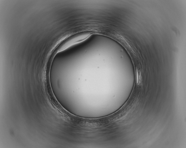 X0000112790531200909041414