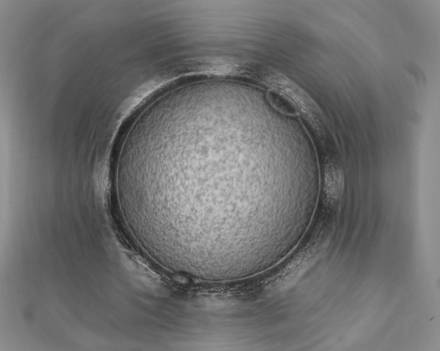 X0000112790532200909041414