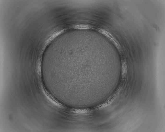 X0000112790533200909041414