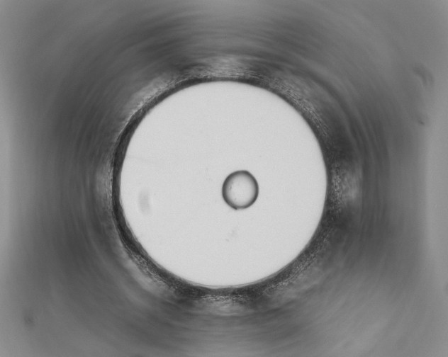 X0000112790534200909041414