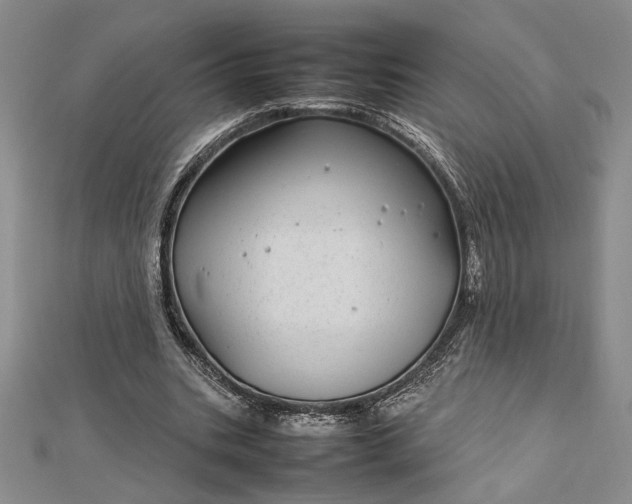 X0000112790535200909041414