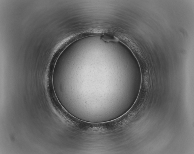 X0000112790536200909041414