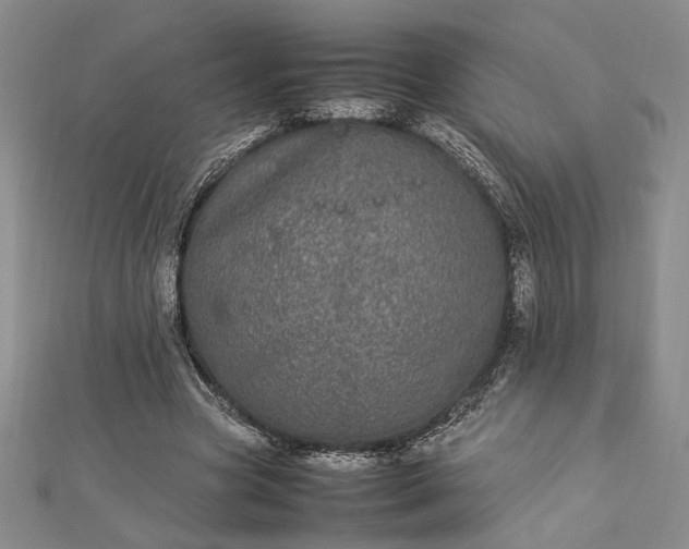 X0000112790537200909041414