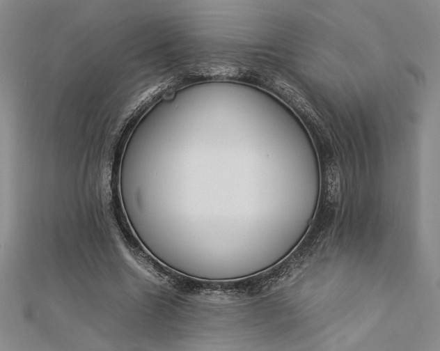 X0000112790538200909041414