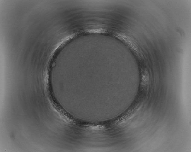 X0000112790539200909041414