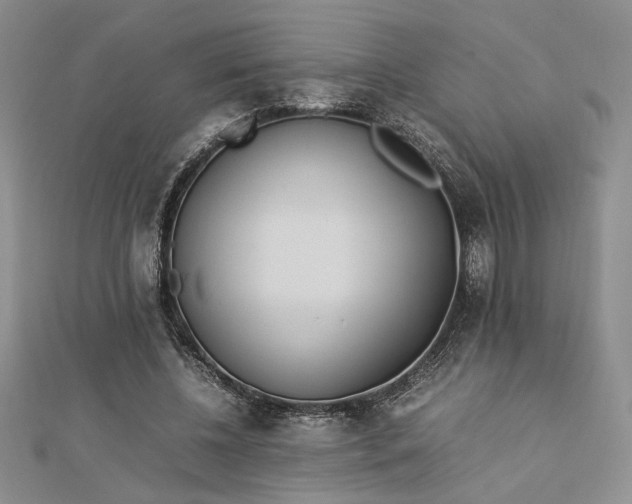 X0000112790540200909041414