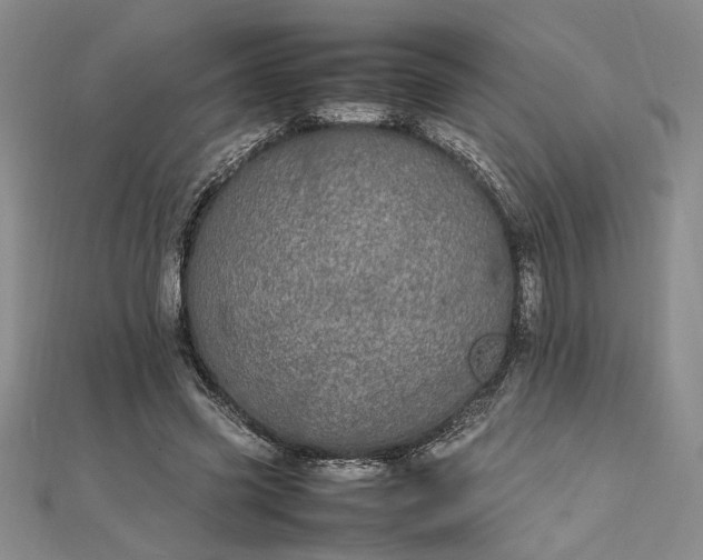 X0000112790541200909041414