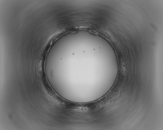 X0000112790543200909041414