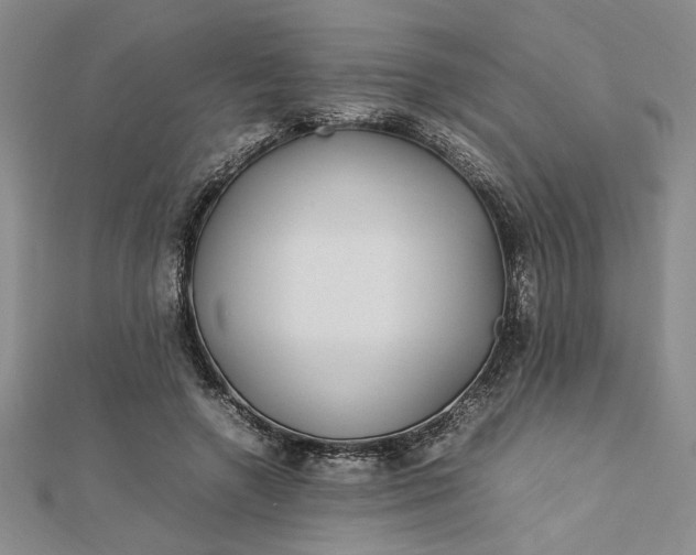 X0000112790546200909041414