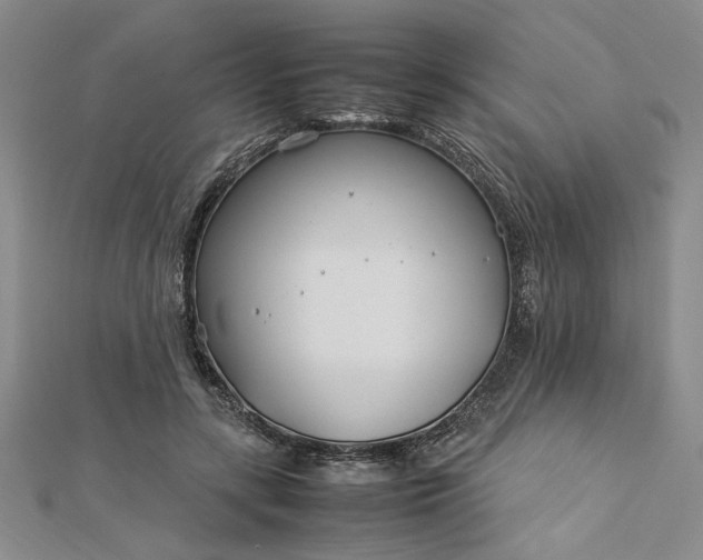 X0000112790547200909041414