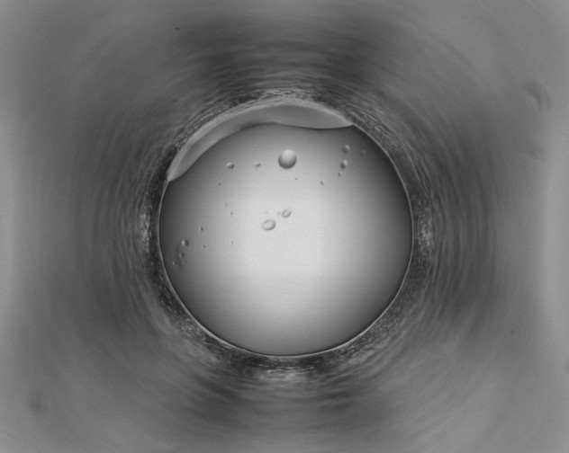 X0000112790551200909041414