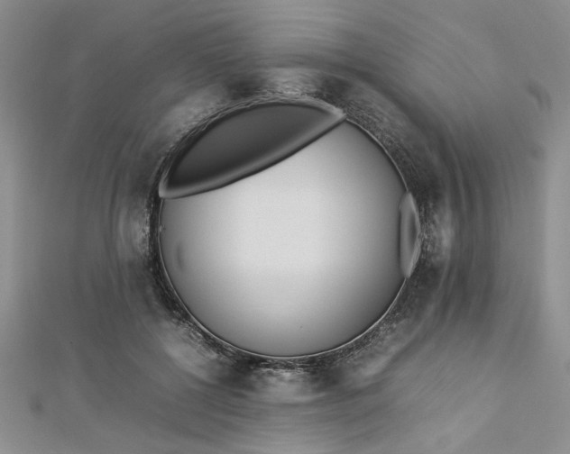 X0000112790552200909041414