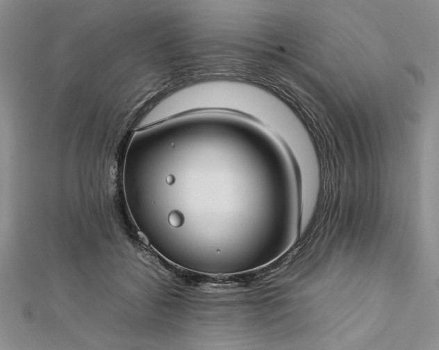 X0000112790556200909041414