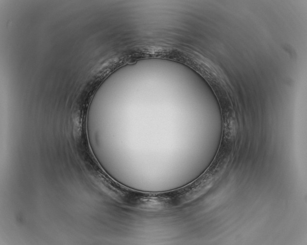 X0000112790558200909041414