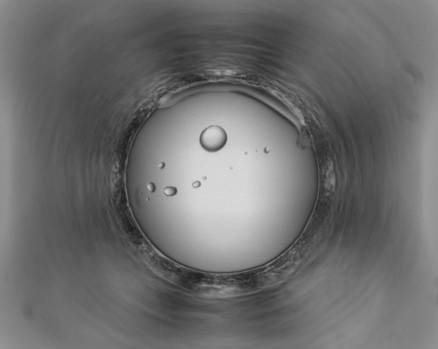 X0000112790559200909041414