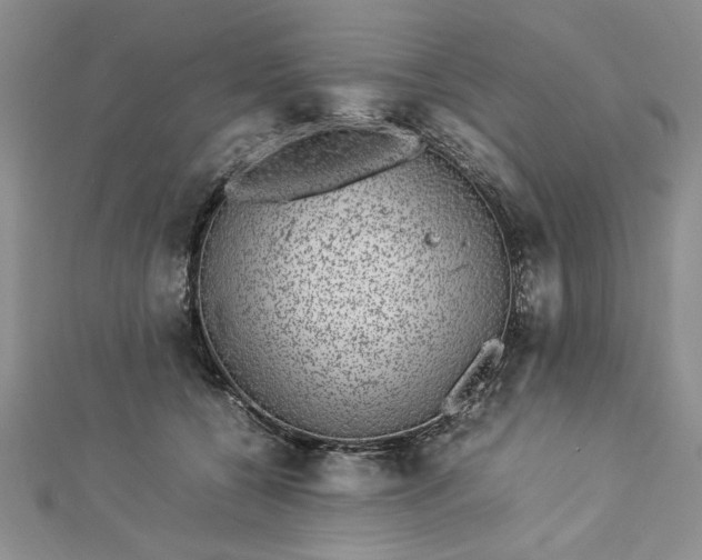 X0000112790560200909041414