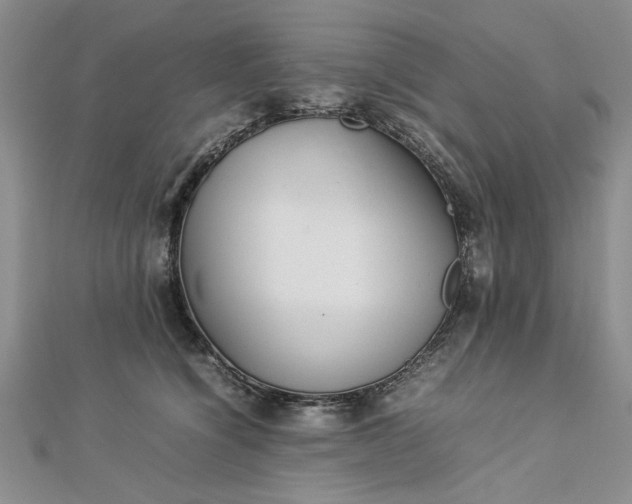 X0000112790564200909041414