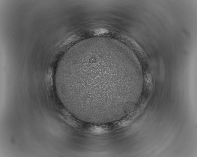 X0000112790565200909041414