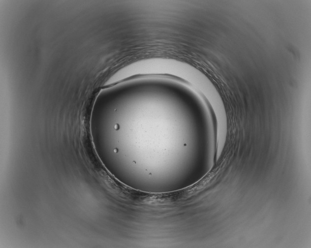 X0000112790568200909041414