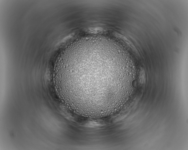 X0000112790569200909041414