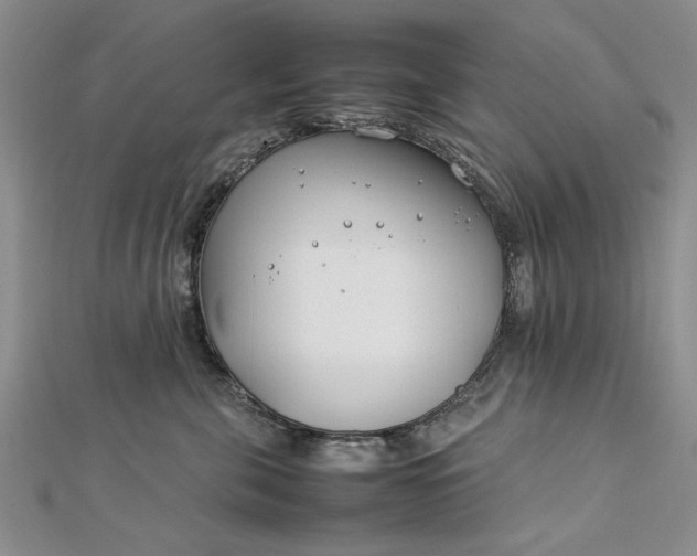 X0000112790571200909041414