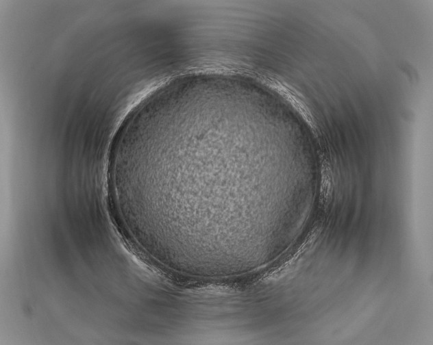 X0000112790578200909041414