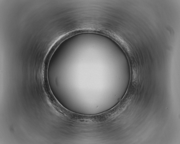 X0000112790580200909041414