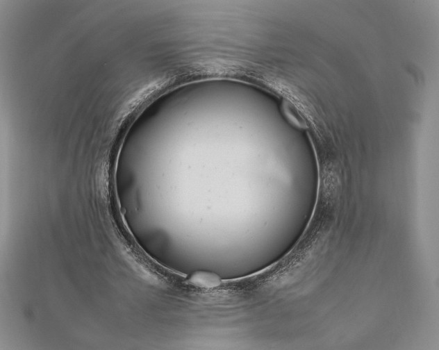 X0000112790581200909041414