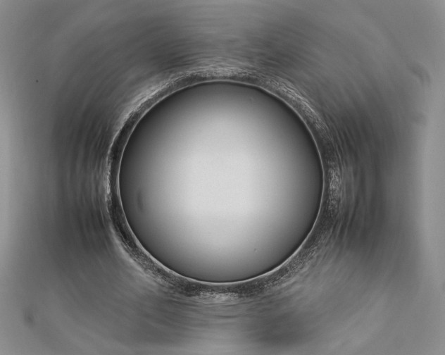 X0000112790582200909041414