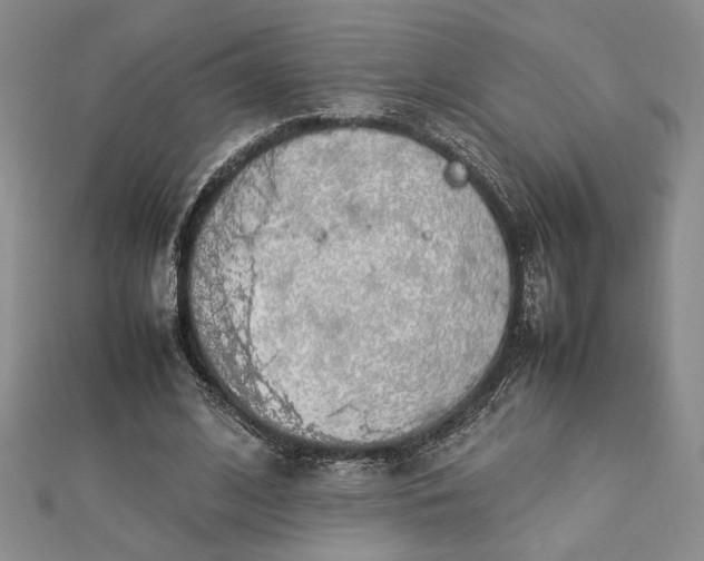 X0000112790584200909041414