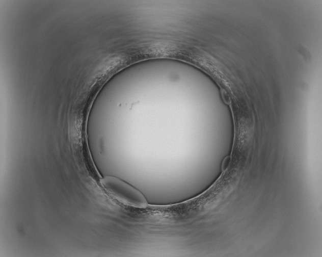 X0000112790585200909041414