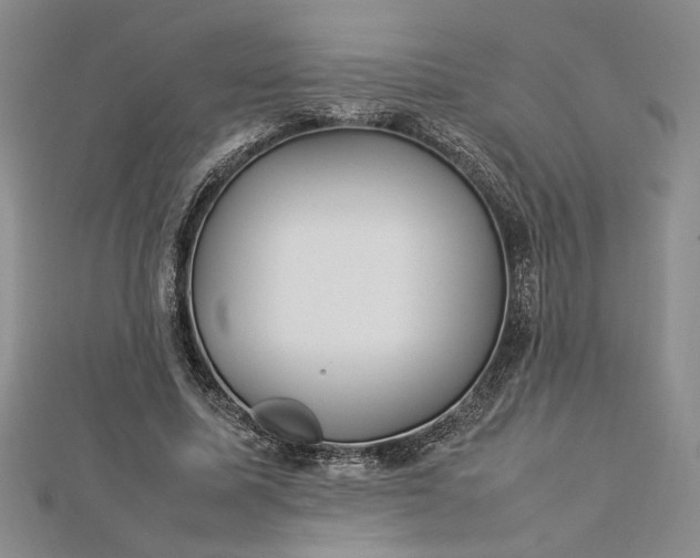 X0000112790587200909041414