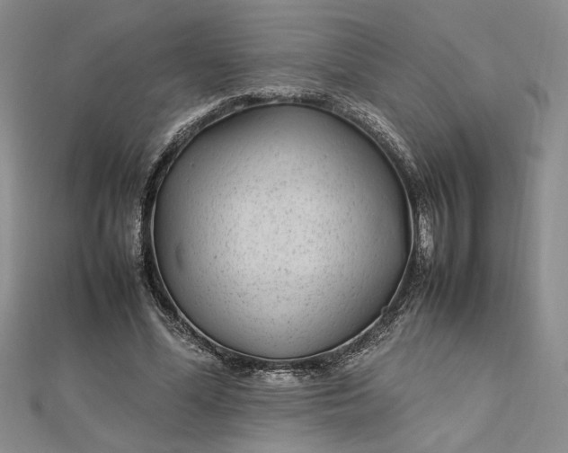 X0000112790588200909041414