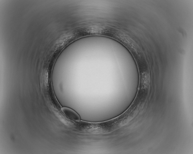 X0000112790589200909041414