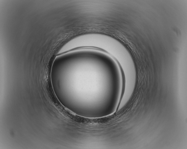 X0000112790593200909041413