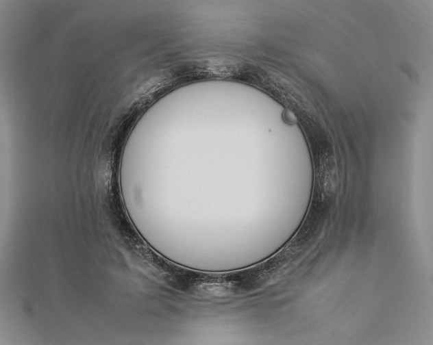 X0000112790595200909041413