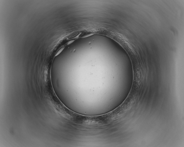 X0000112790596200909041413