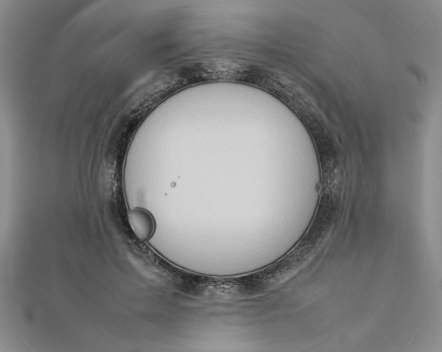 X0000112790599200909041413