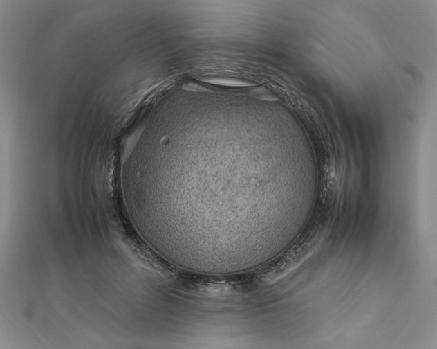 X0000112790600200909041413