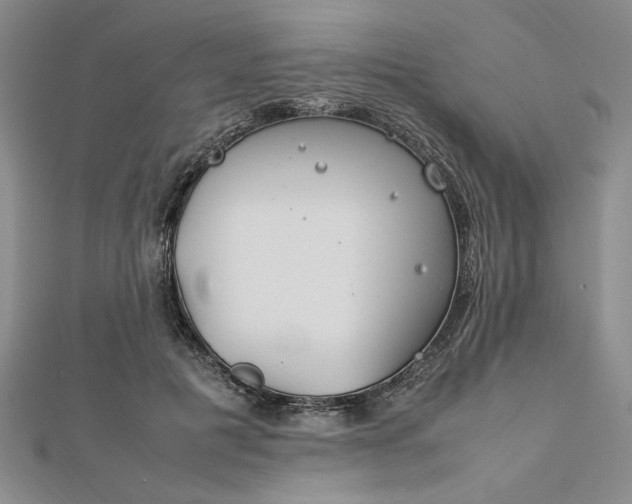 X0000112790601200909041413