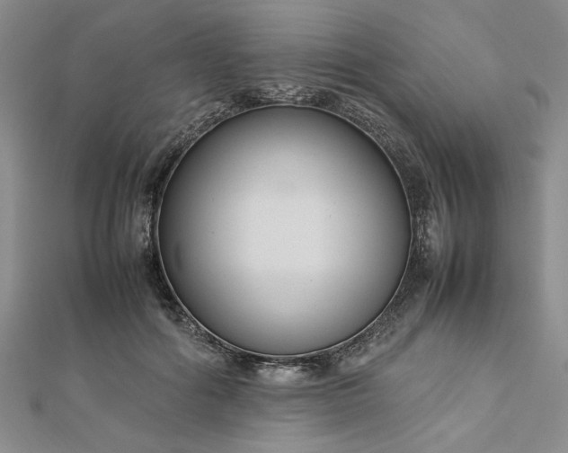 X0000112790602200909041413