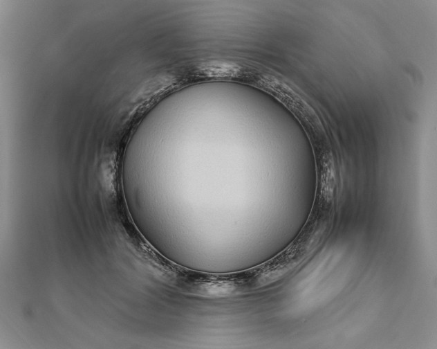 X0000112790604200909041413