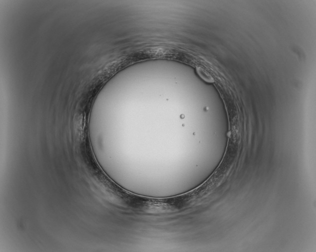 X0000112790605200909041413