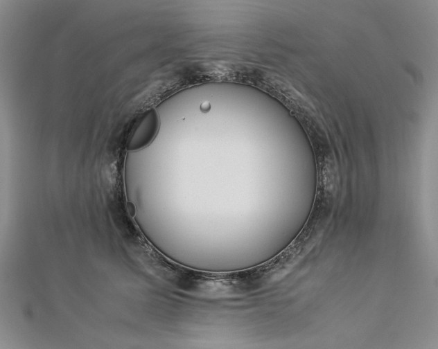 X0000112790611200909041413