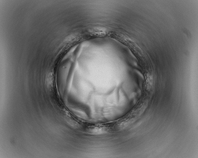 X0000112790612200909041413